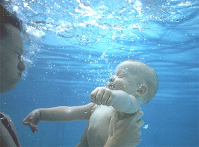 Copyright 1998 Kathy Weydig 
